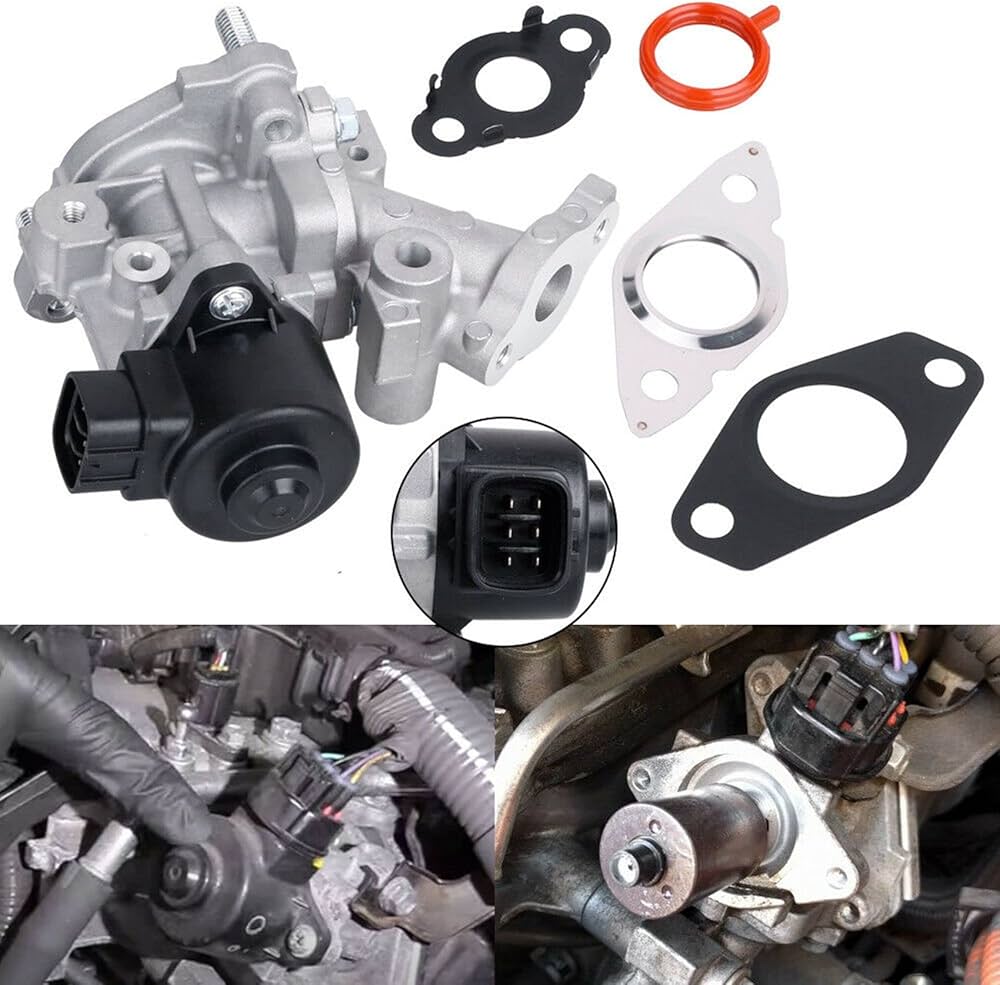 m.media-amazon.com/images/I/71+6VuJEUGL._AC_UF1000...